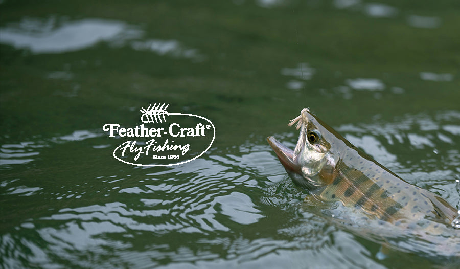 Bare Fishing Co. Partners with FeatherCraft Fly Fishing Bare Fishing